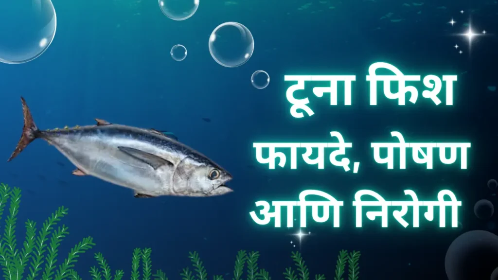 टूना फिश: फायदे, पोषण आणि निरोगी खाण्यापिण्याचे मार्गदर्शक टूना फिश: फायदे, पोषण आणि निरोगी खाण्यापिण्याचे मार्गदर्शक