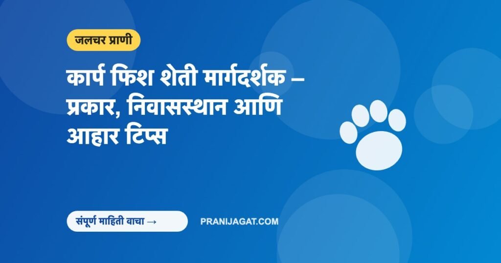 कार्प फिश शेती मार्गदर्शक – प्रकार, निवासस्थान आणि आहार टिप्स
