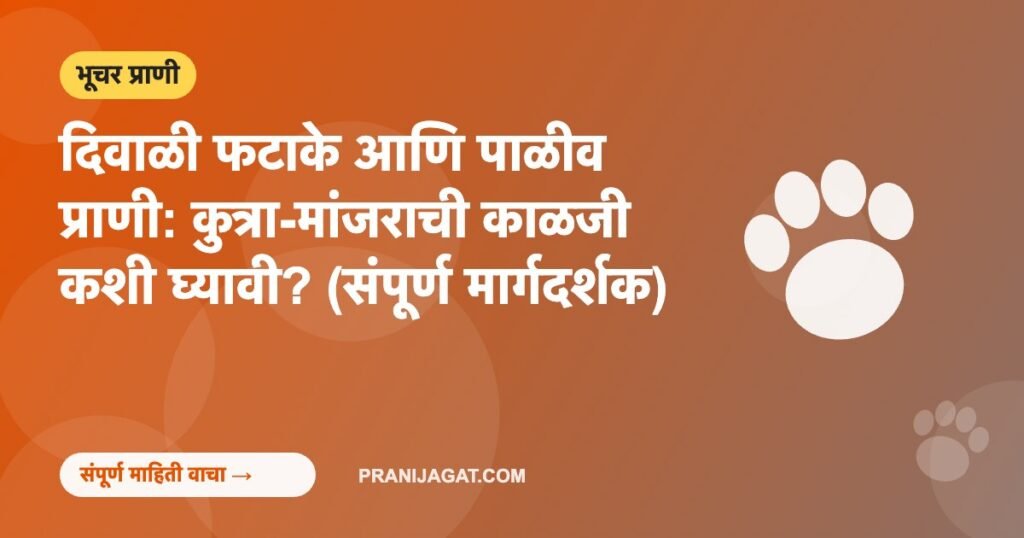 दिवाळी फटाके आणि पाळीव प्राणी: कुत्रा-मांजराची काळजी कशी घ्यावी? (संपूर्ण मार्गदर्शक) दिवाळी फटाके आणि पाळीव प्राणी: कुत्रा-मांजराची काळजी कशी घ्यावी? (संपूर्ण मार्गदर्शक)