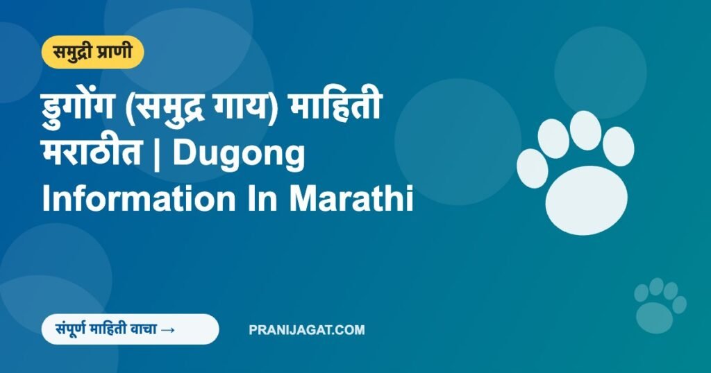 डुगोंग (समुद्र गाय) माहिती मराठीत | Dugong Information In Marathi डुगोंग (समुद्र गाय) माहिती मराठीत | Dugong Information In Marathi