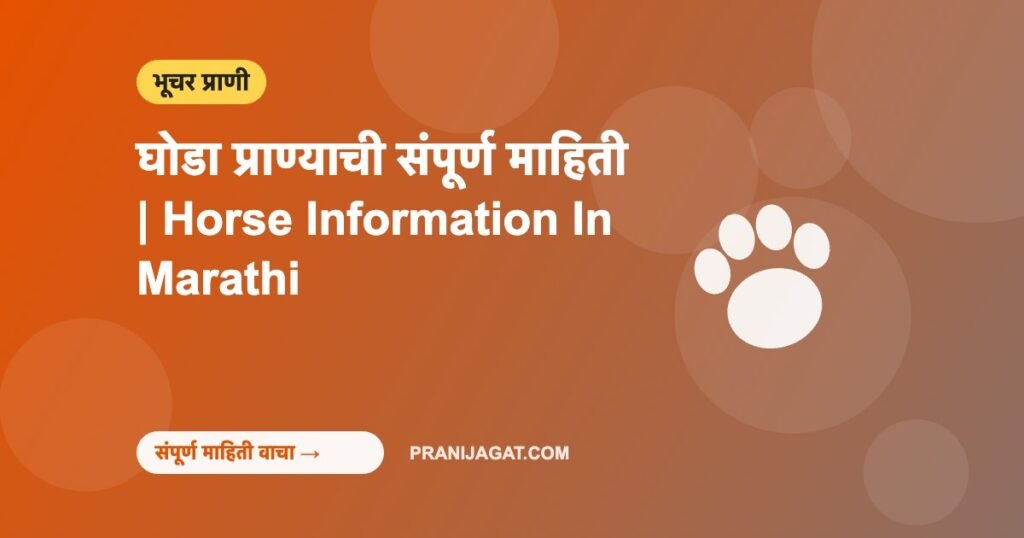 घोडा प्राण्याची संपूर्ण माहिती | Horse Information In Marathi