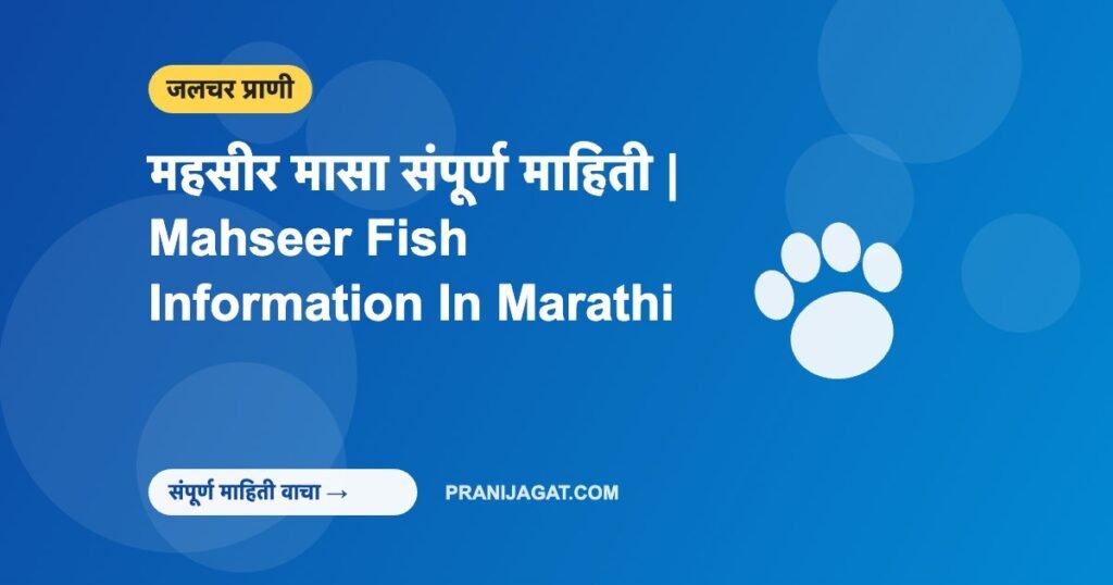 महसीर मासा संपूर्ण माहिती | Mahseer Fish Information In Marathi