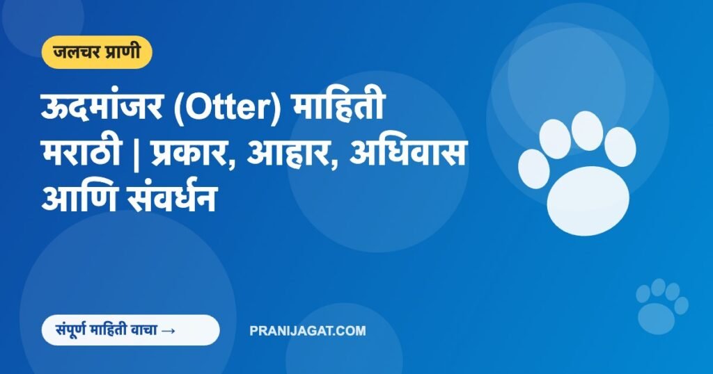 ऊदमांजर (Otter) माहिती मराठी | प्रकार, आहार, अधिवास आणि संवर्धन ऊदमांजर (Otter) माहिती मराठी | प्रकार, आहार, अधिवास आणि संवर्धन