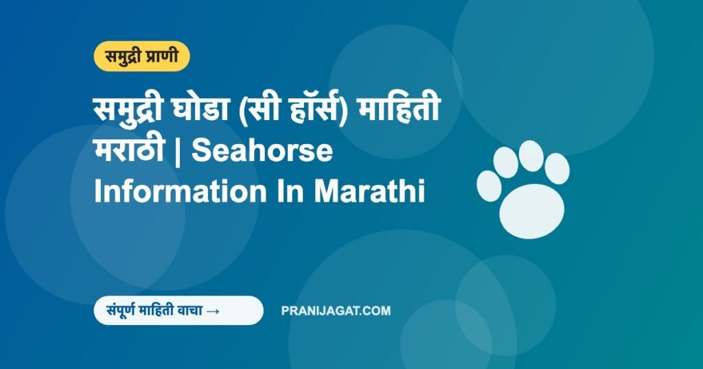 समुद्री घोडा (सी हॉर्स) माहिती मराठी | Seahorse Information In Marathi